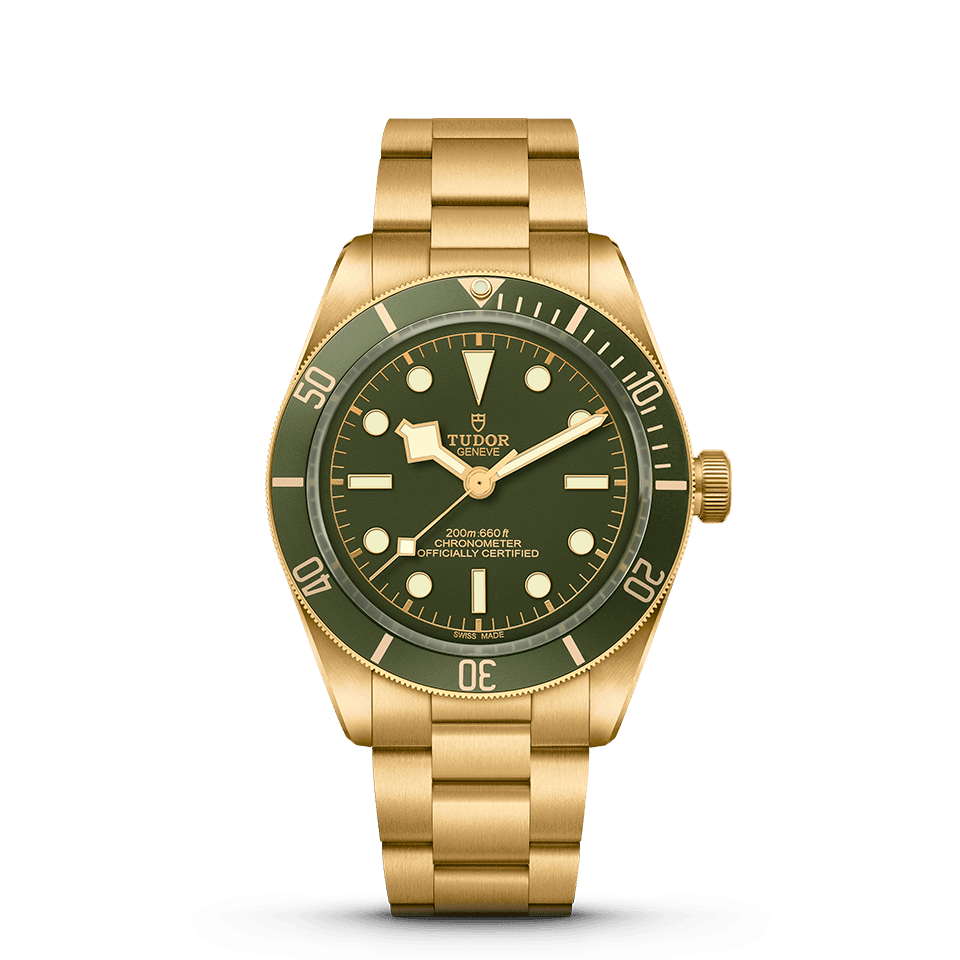  TUDOR Black Bay Fifty-Eight 18k  M79018V-0001