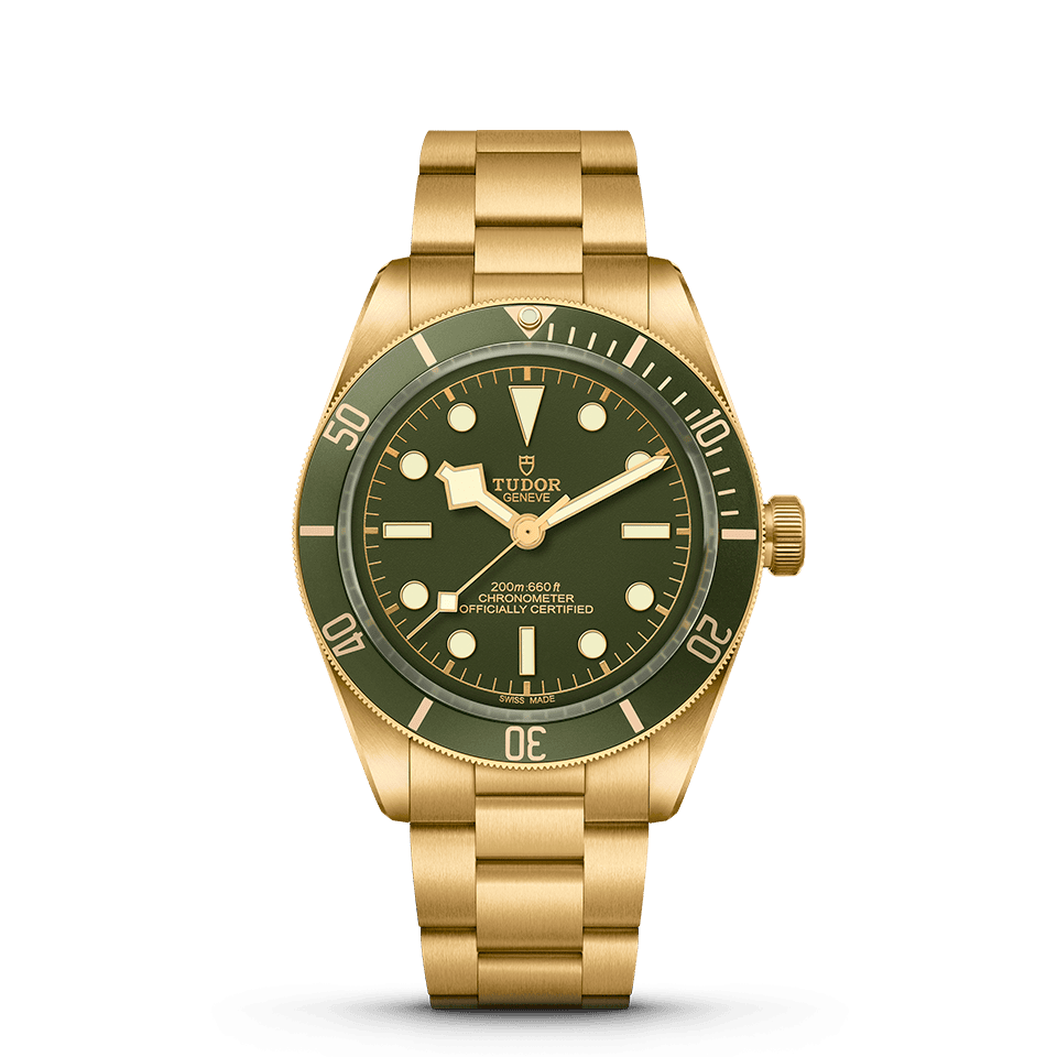  Tudor Black Bay Fifty-Eight 18K  M79018V-0001