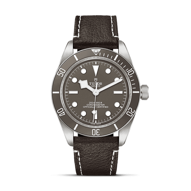 TUDOR Black Bay 58 925 M79010SG-0001