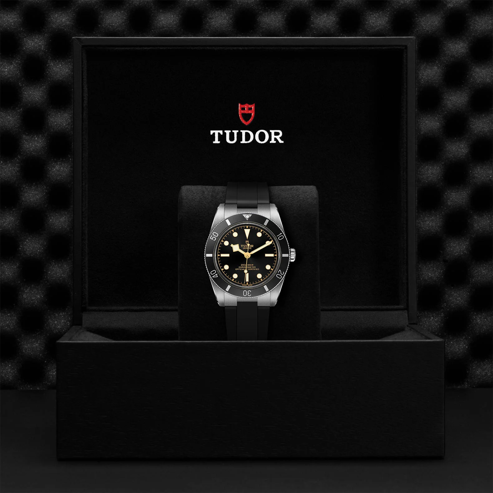 M79000N 0002 Tudor Watch Carousel 4 4 10 2023