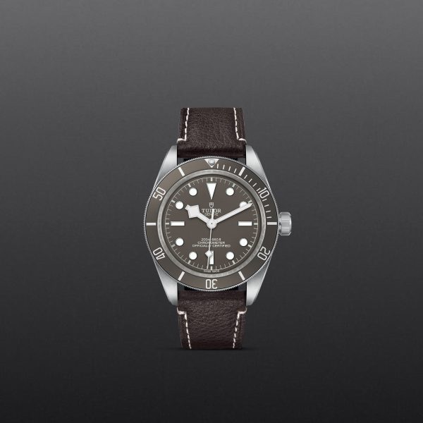 TUDOR Black Bay 58 925 M79010SG-0001