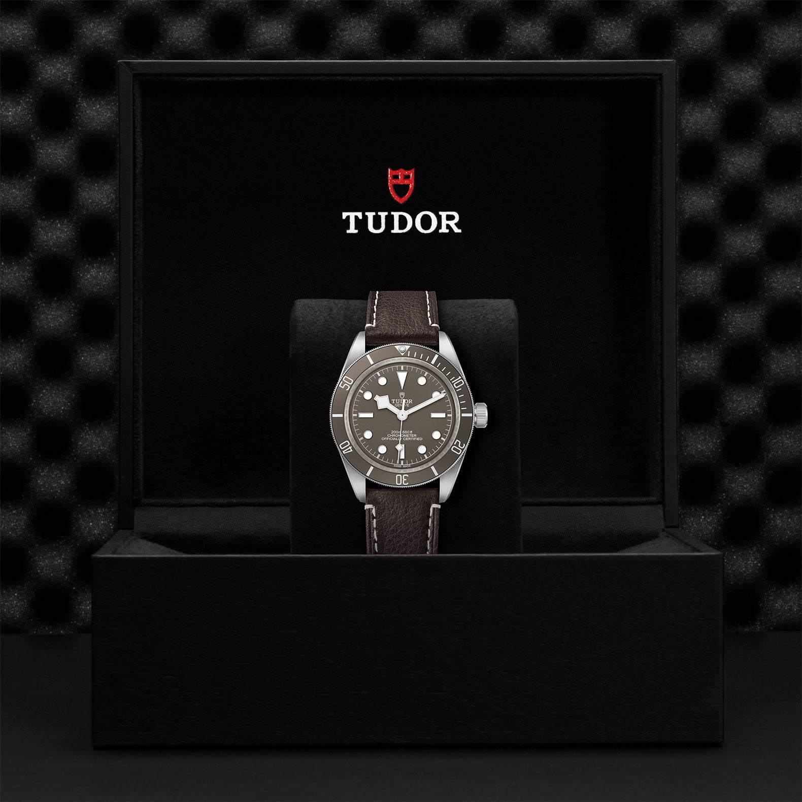 M79010Sg 0001 Tudor Watch Carousel 4 4 10 2023