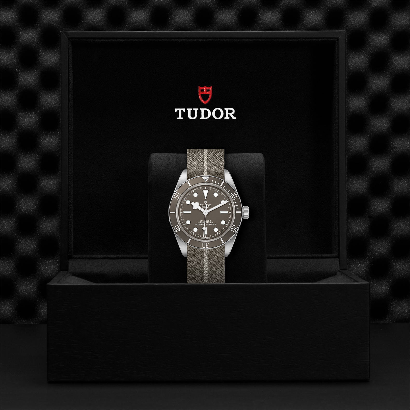 M79010Sg 0002 Tudor Watch Carousel 4 4 10 2023