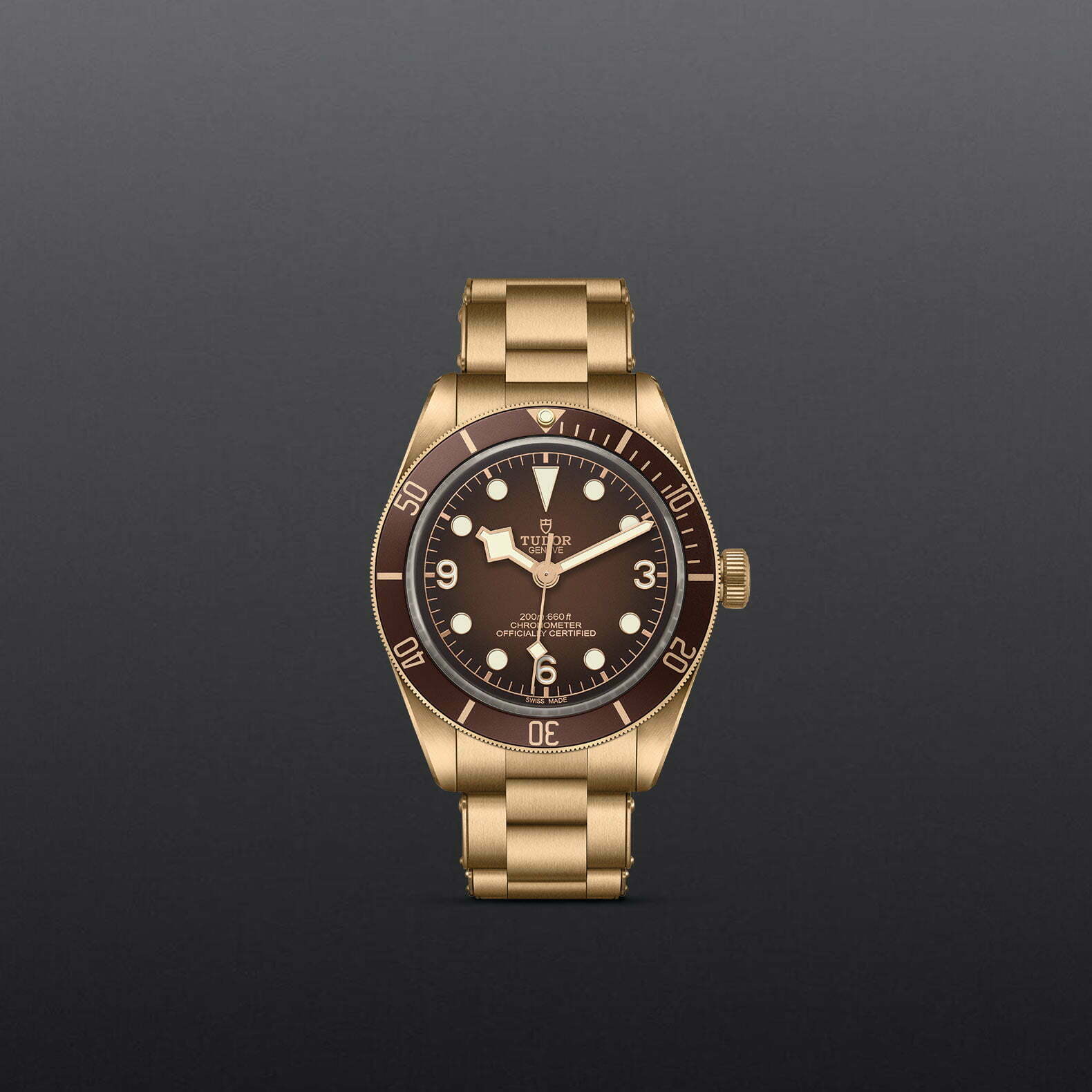 M79012M 0001 Tudor Watch Carousel 1 4 10 2023