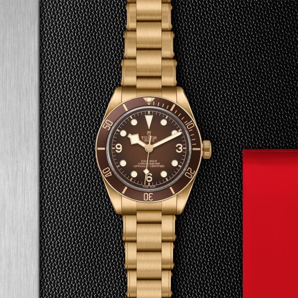 TUDOR Black Bay 58 Bronze M79012M-0001 - Image 3