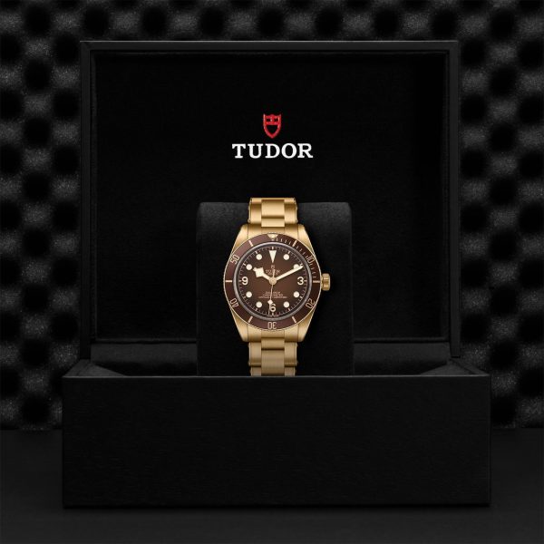 TUDOR Black Bay 58 Bronze M79012M-0001 - Image 5