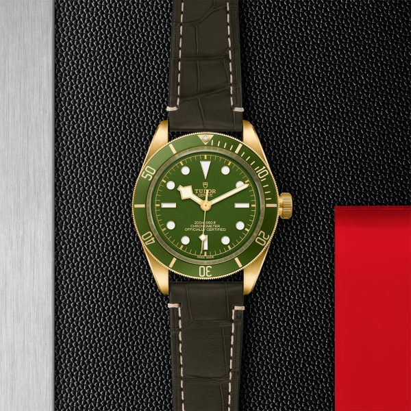 TUDOR Black Bay 58 18k M79018V-0001 - Image 3