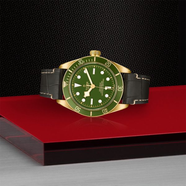 TUDOR Black Bay 58 18k M79018V-0001 - Image 4