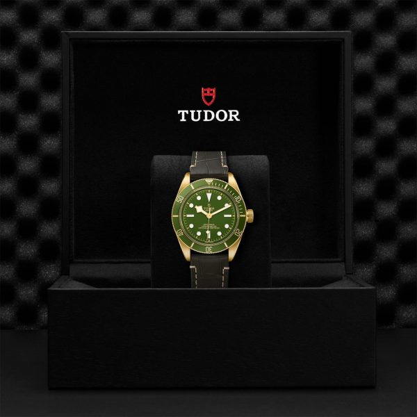 TUDOR Black Bay 58 18k M79018V-0001 - Image 5