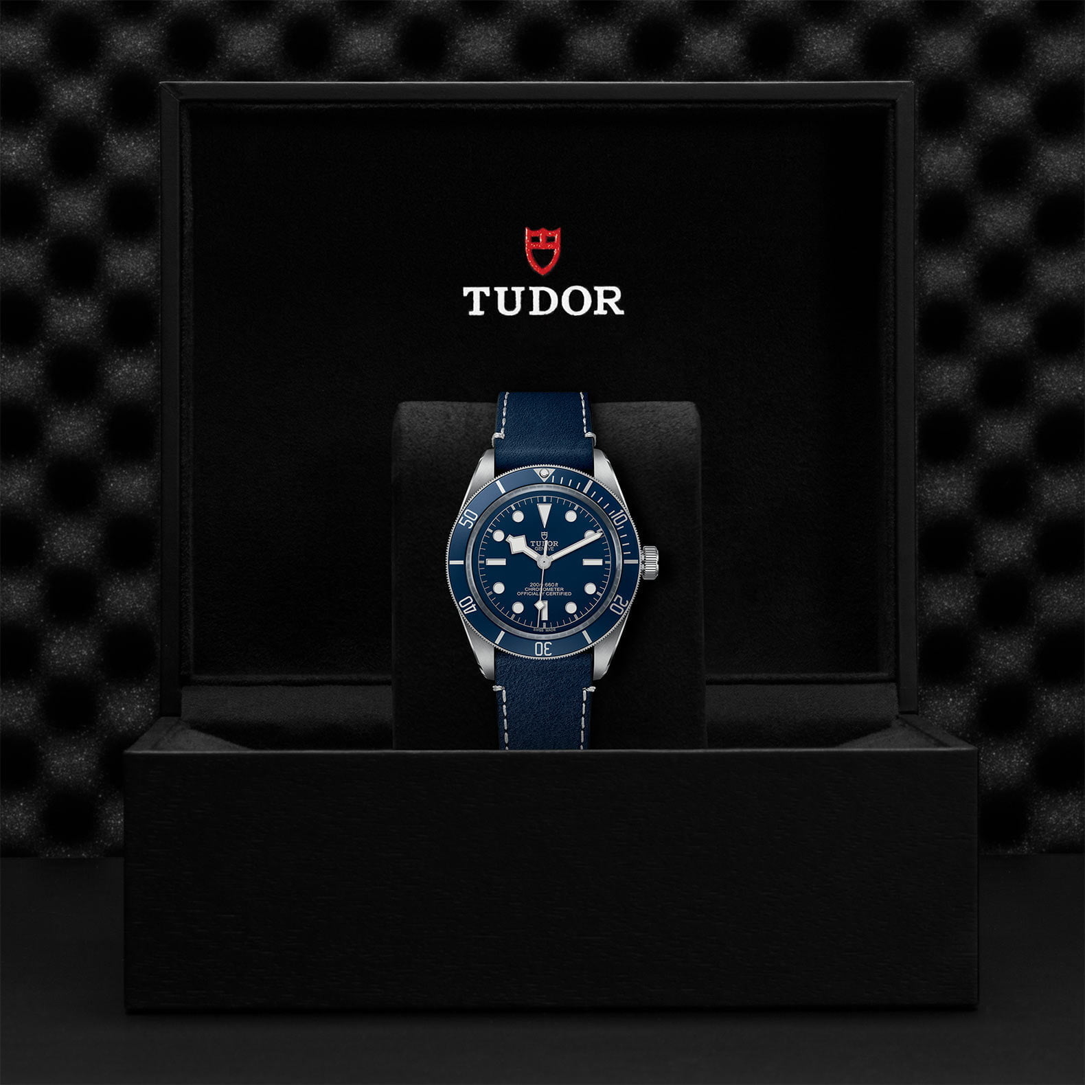 M79030B 0002 Tudor Watch Carousel 4 4 10 2023