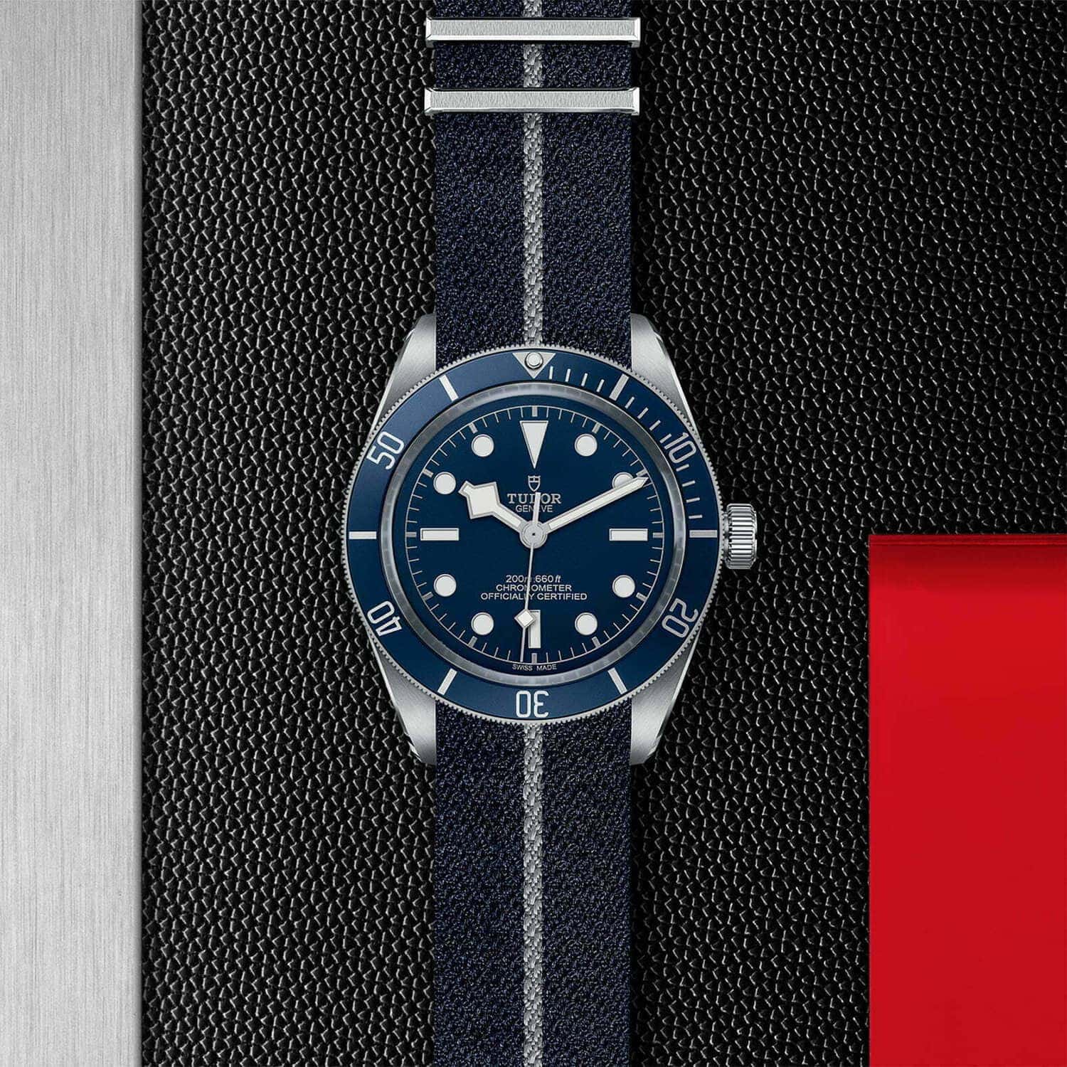 Tudor deals watch blue