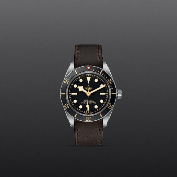 TUDOR Black Bay 58 M79030N-0002