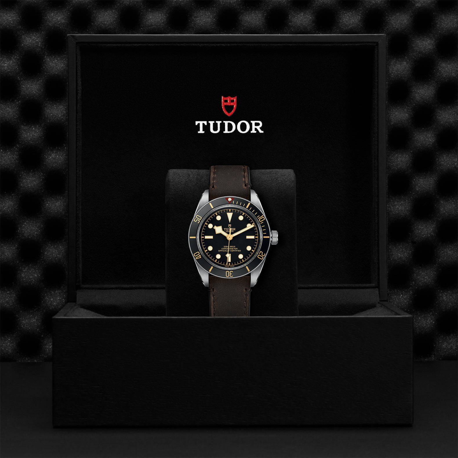 M79030N 0002 Tudor Watch Carousel 4 4 10 2023