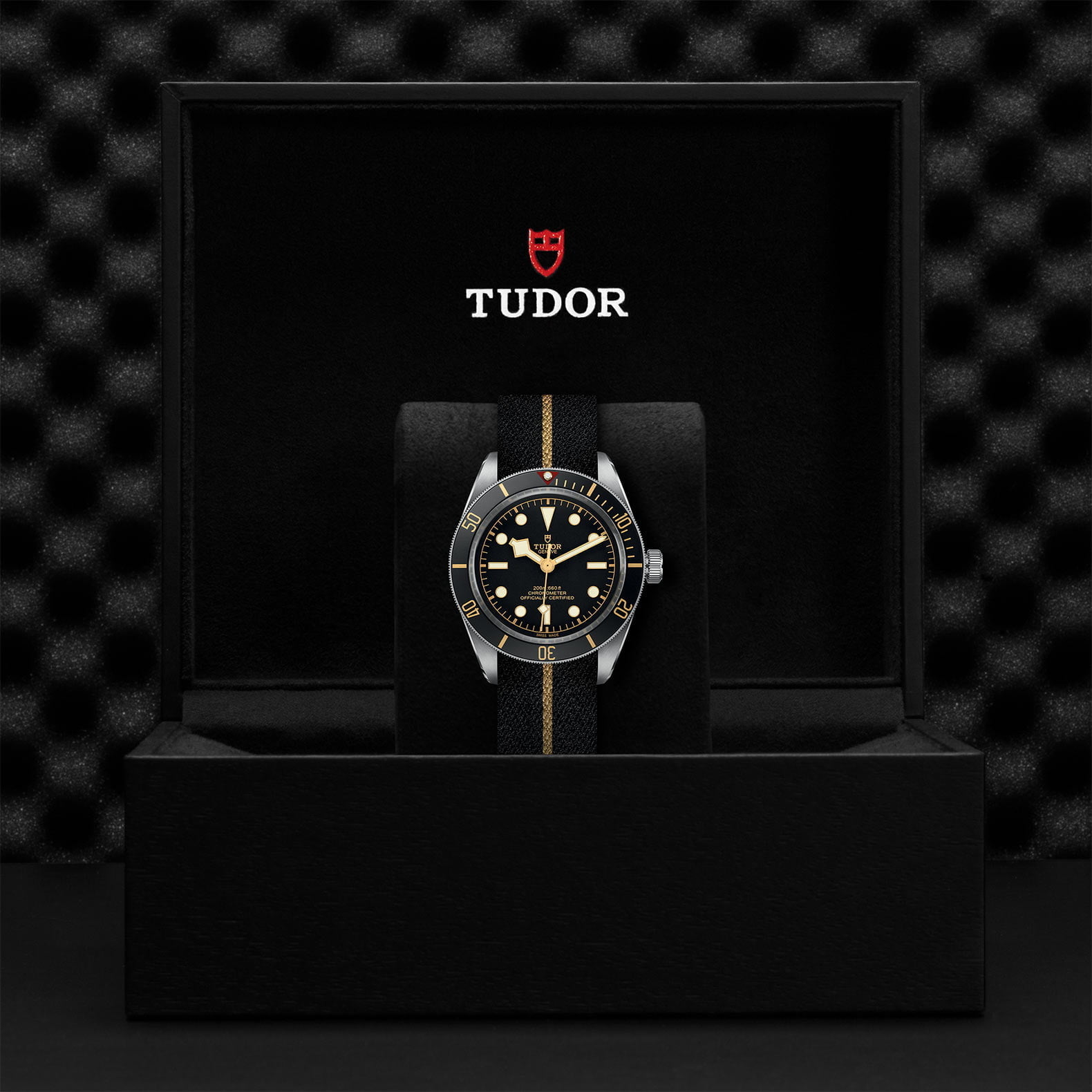 M79030N 0003 Tudor Watch Carousel 4 4 10 2023
