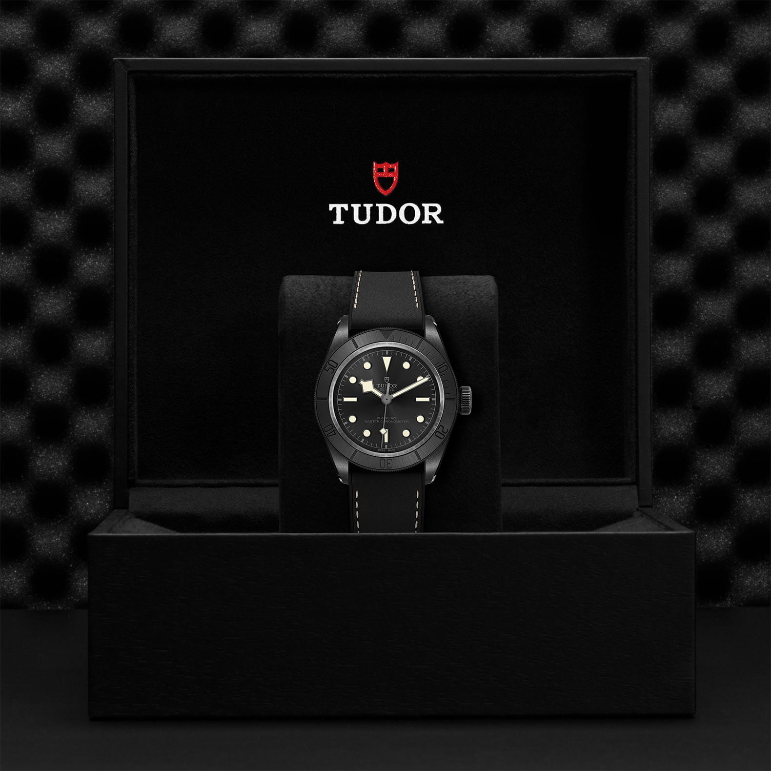 M79210Cnu 0001 Tudor Watch Carousel 4 4 10 2023