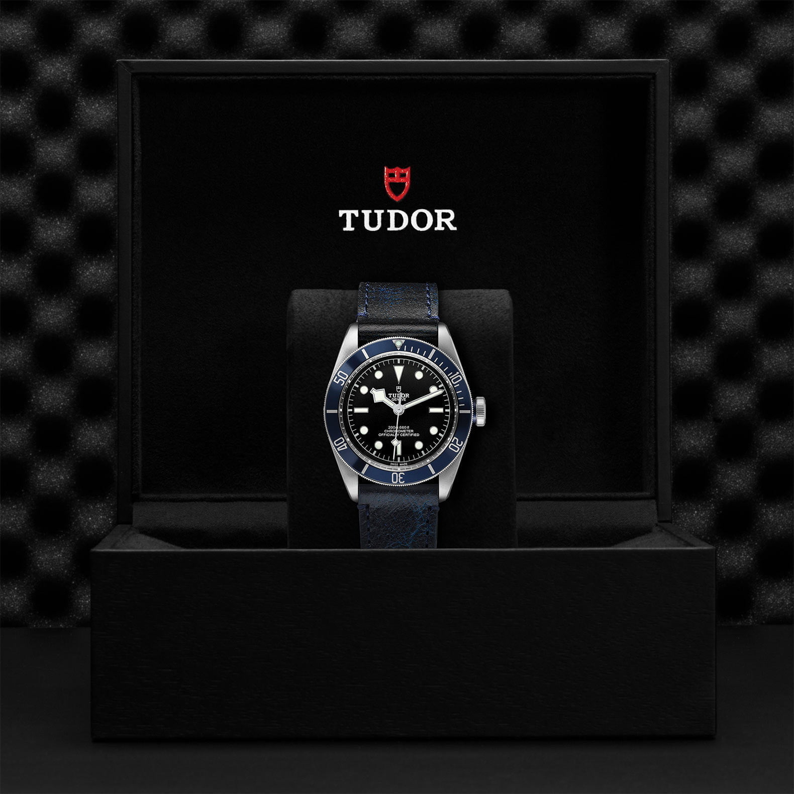 M79230B 0007 Tudor Watch Carousel 4 4 10 2023