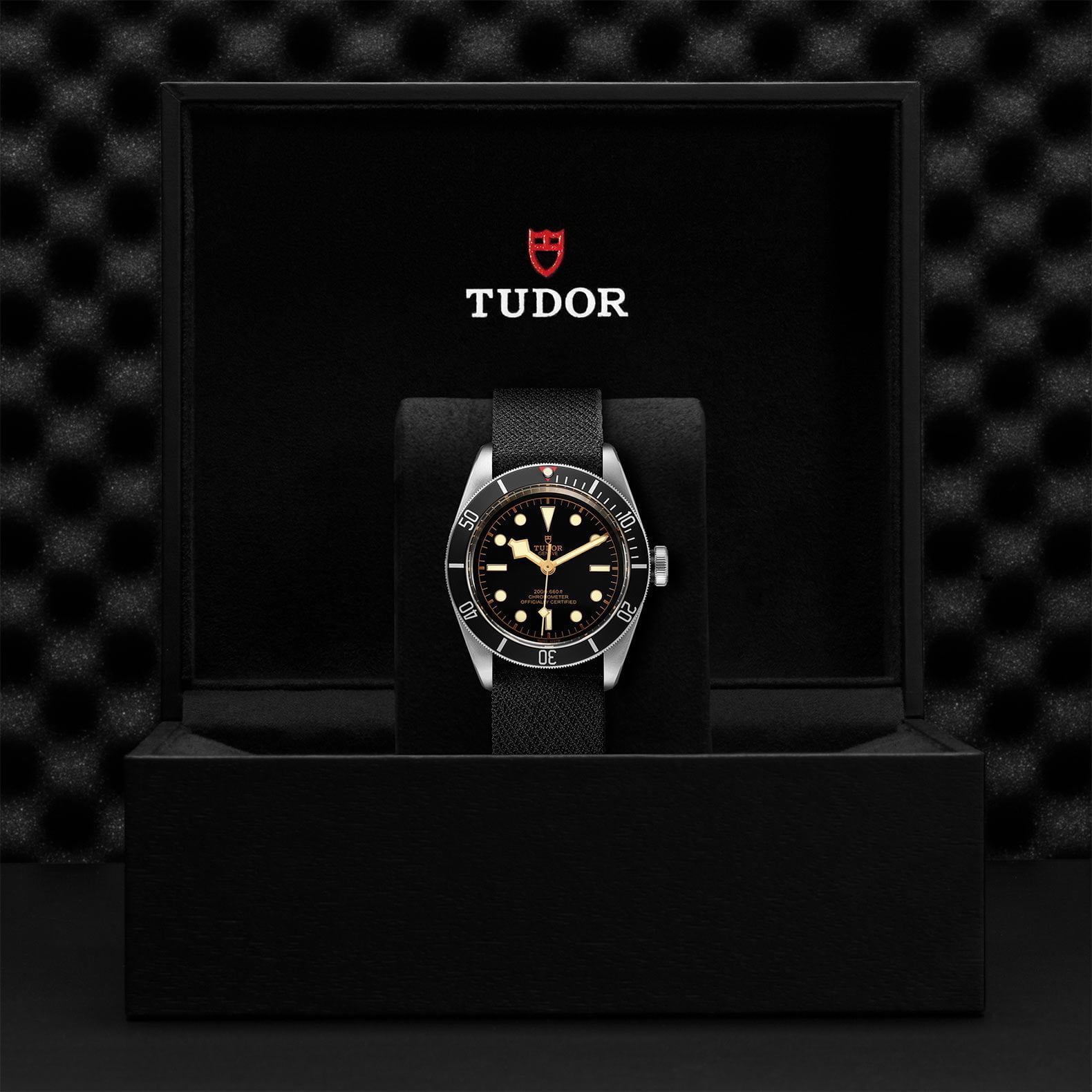 M79230N 0005 Tudor Watch Carousel 4 4 10 2023