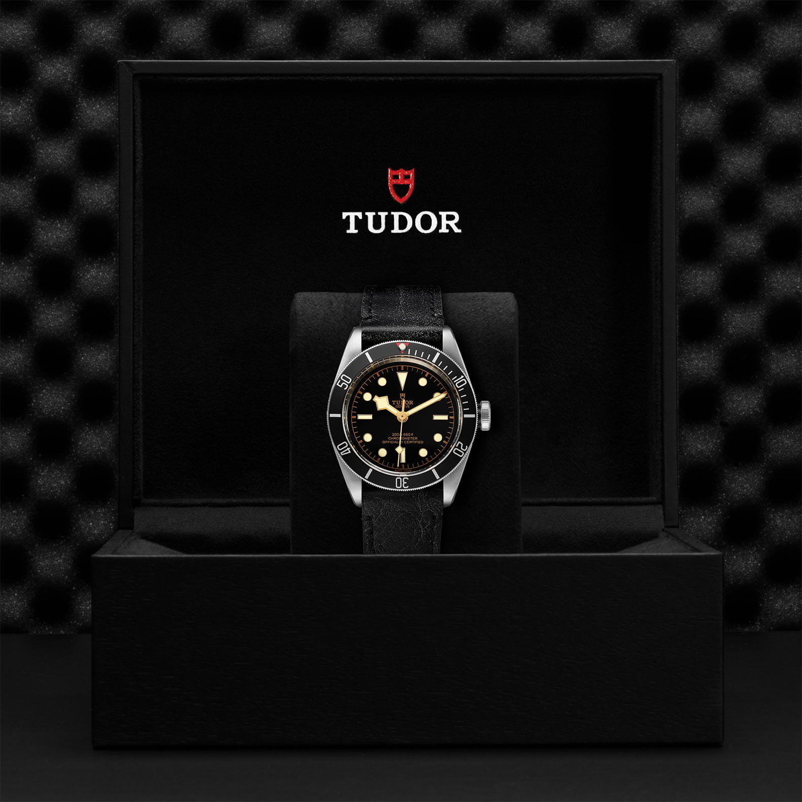 M79230N 0008 Tudor Watch Carousel 4 4 10 2023