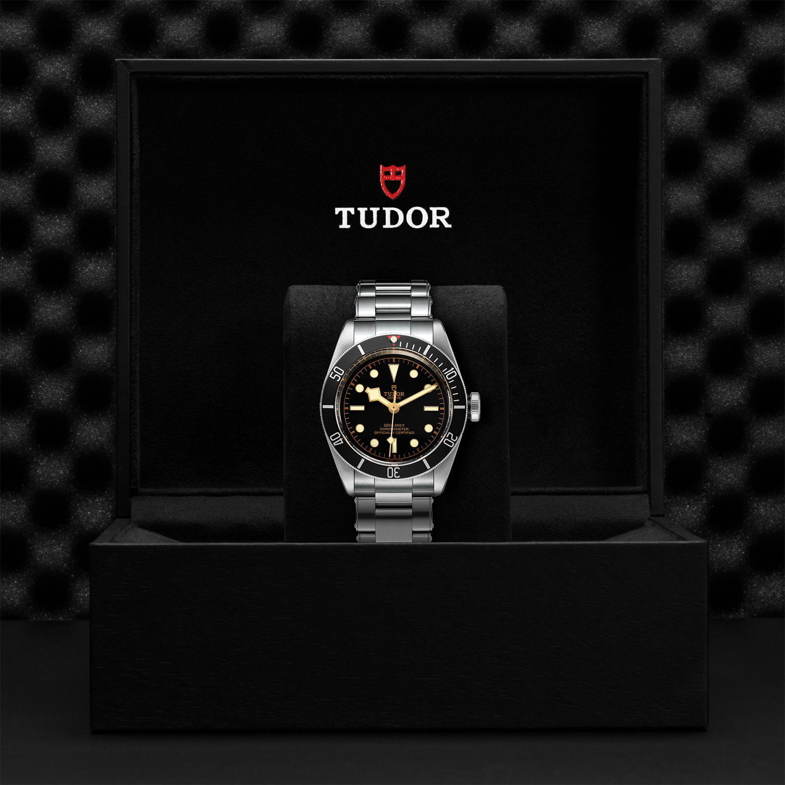 M79230N 0009 Tudor Watch Carousel 4 4 10 2023