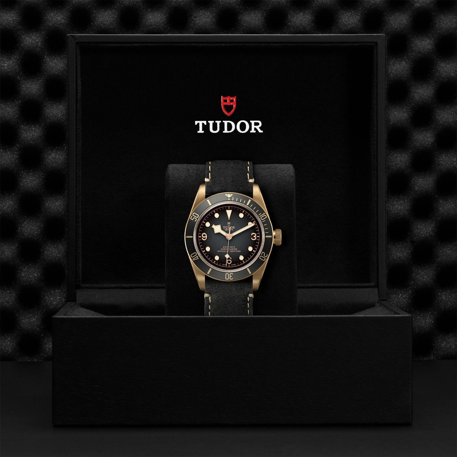 M79250Ba 0001 Tudor Watch Carousel 4 4 10 2023