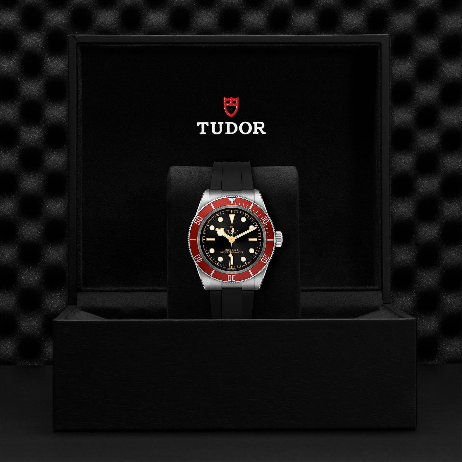 M7941A1A0Ru 0002 Tudor Watch Carousel 4 4 10 2023