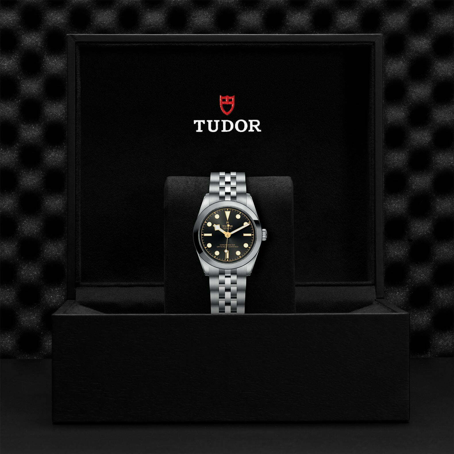 M79600 0001 Tudor Watch Carousel 4 4 10 2023
