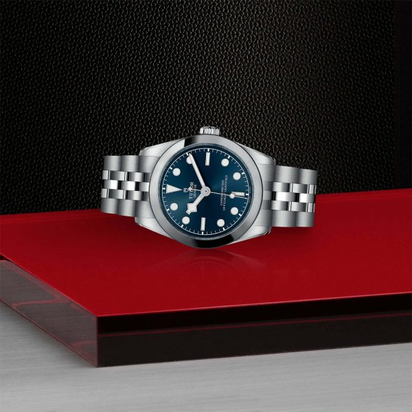 TUDOR Black Bay 31 M79600-0002 - Image 4