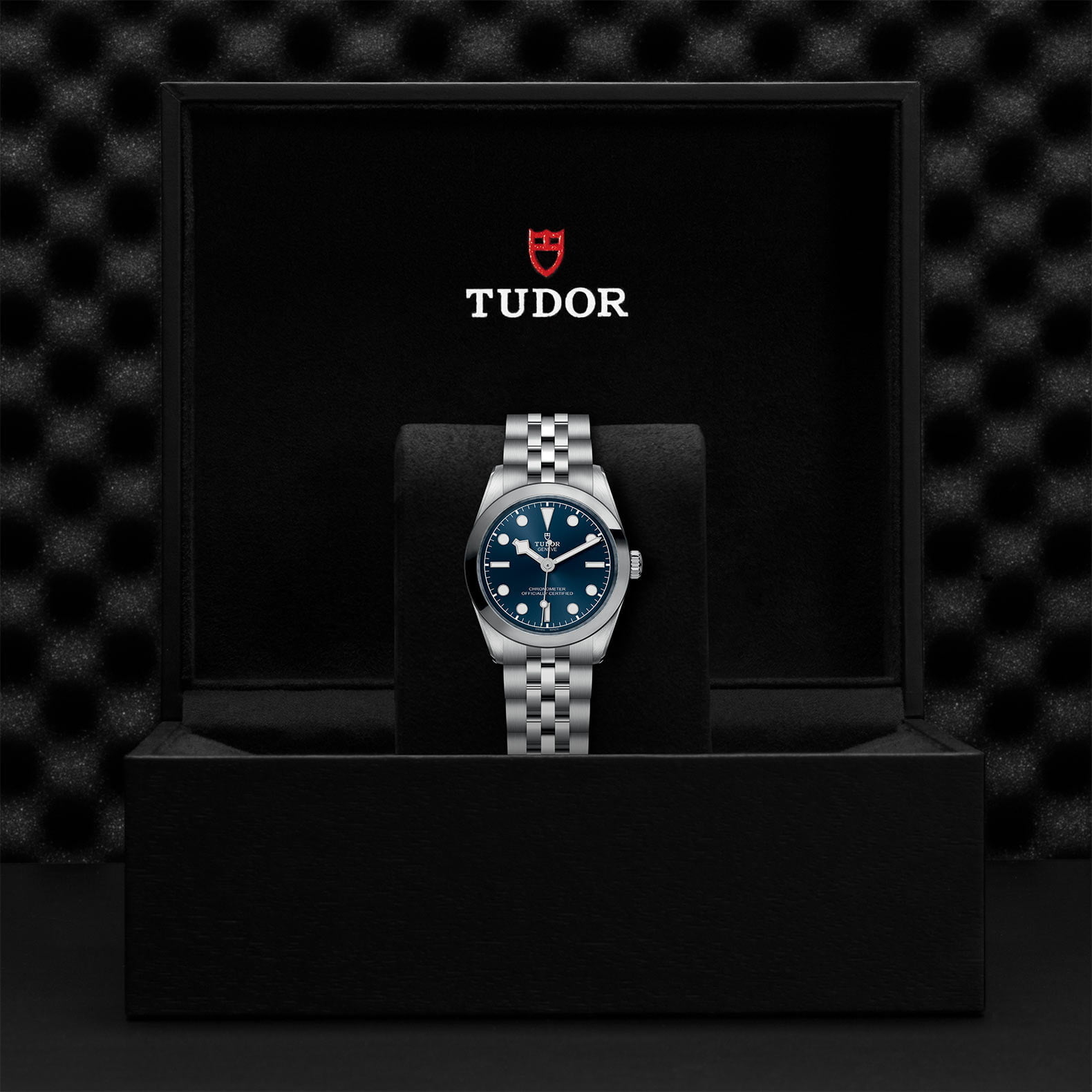 M79600 0002 Tudor Watch Carousel 4 4 10 2023