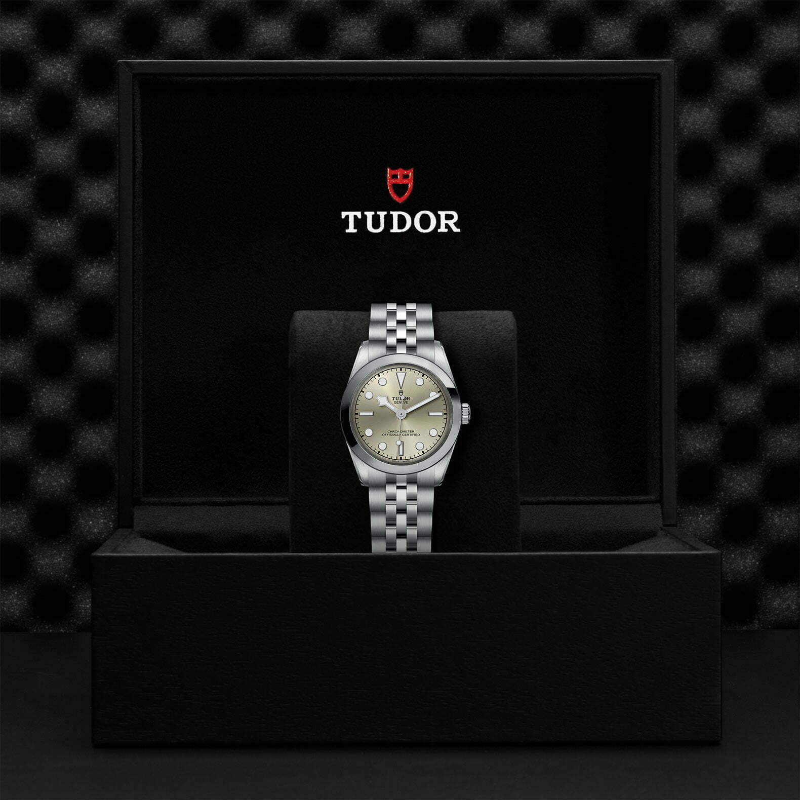 M79600 0003 Tudor Watch Carousel 4 4 10 2023