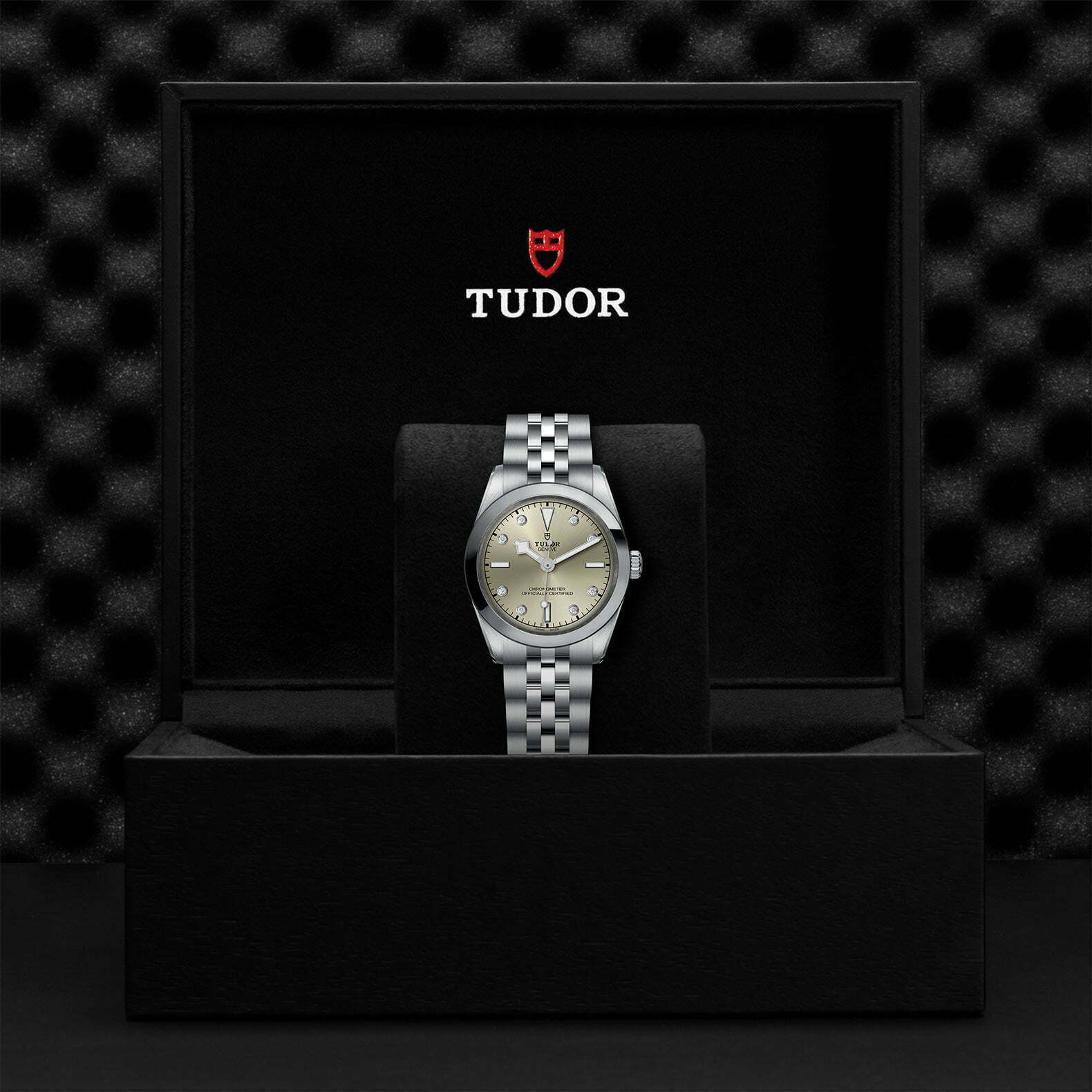M79600 0006 Tudor Watch Carousel 4 4 10 2023