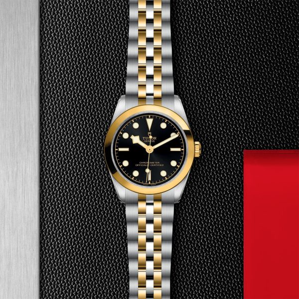 TUDOR Black Bay 31 S&G M79603-0001 - Image 3