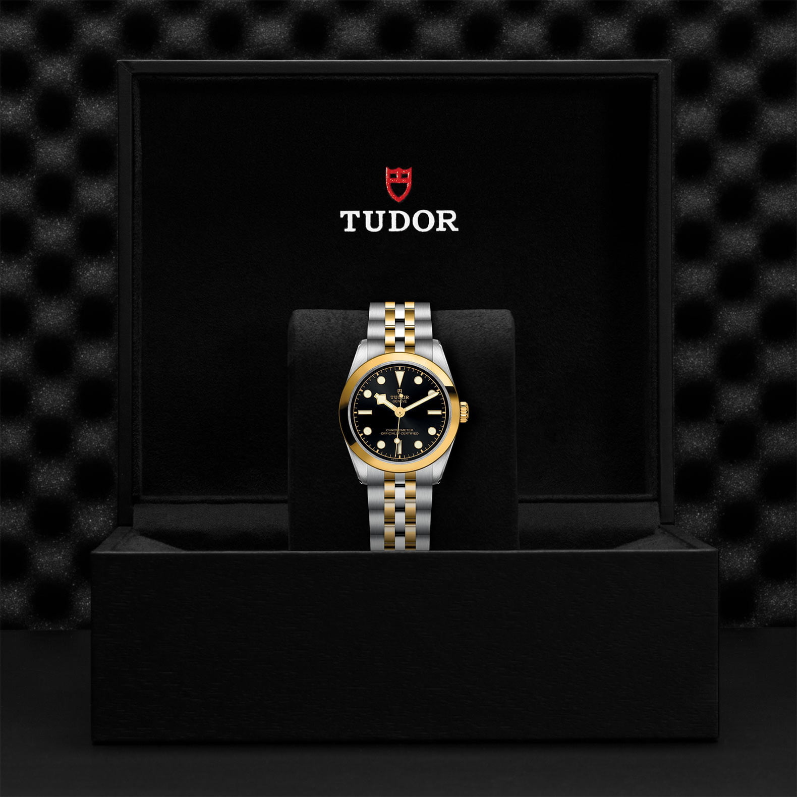 M79603 0001 Tudor Watch Carousel 4 4 10 2023