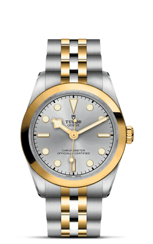 TUDOR Black Bay 31 S&G M79603-0002