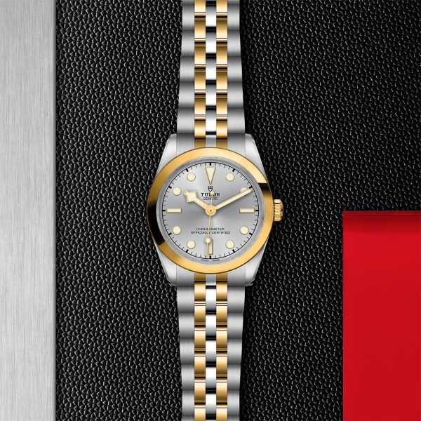 TUDOR Black Bay 31 S&G M79603-0002 - Image 3