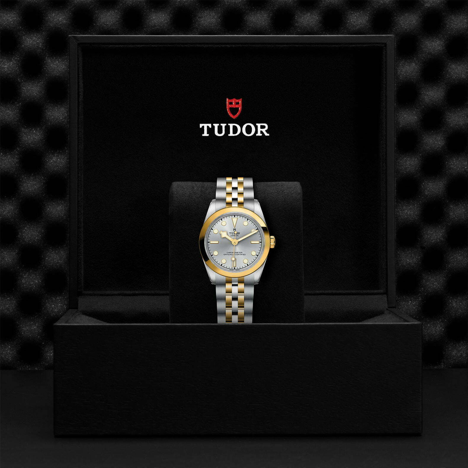 M79603 0002 Tudor Watch Carousel 4 4 10 2023