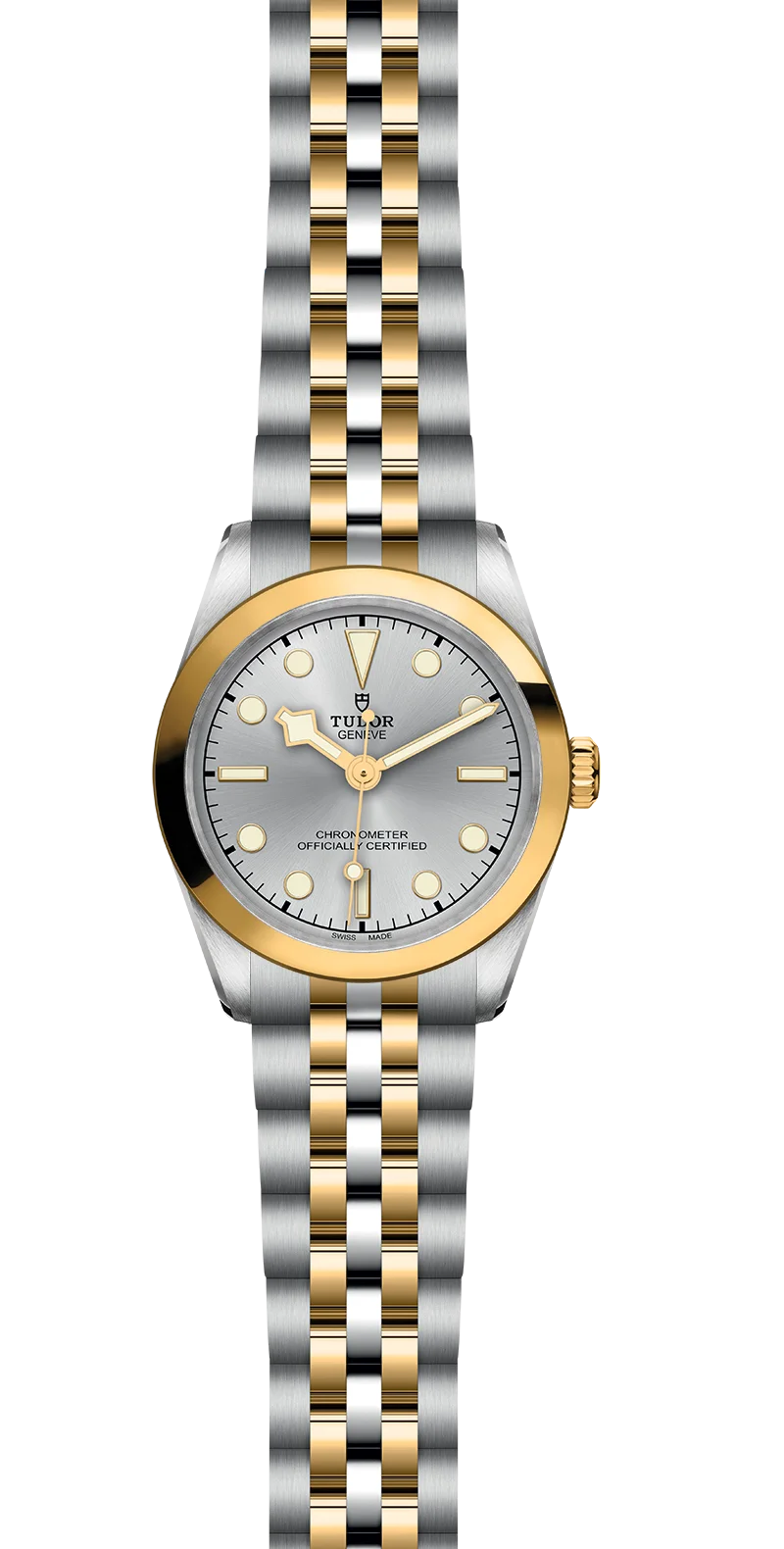 Tudor Black Bay 31 S&G - M79603-0002 | Swee Cheong Watch
