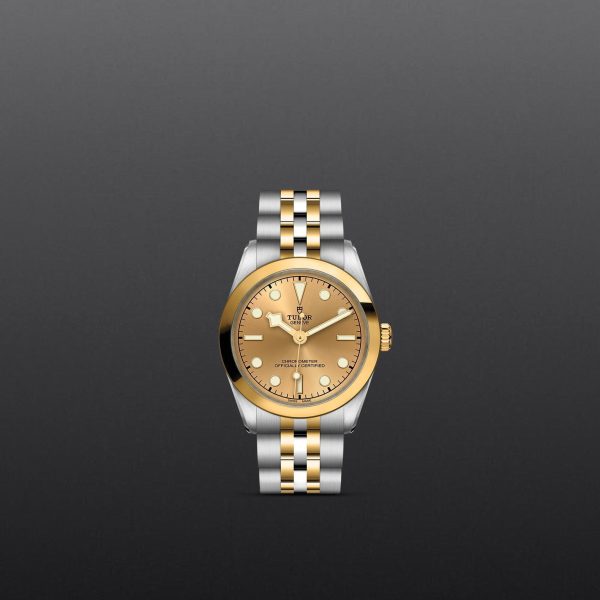 TUDOR Black Bay 31 S&G M79603-0005