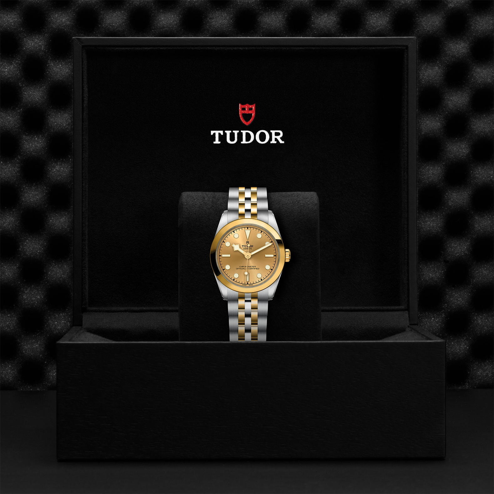 M79603 0005 Tudor Watch Carousel 4 4 10 2023