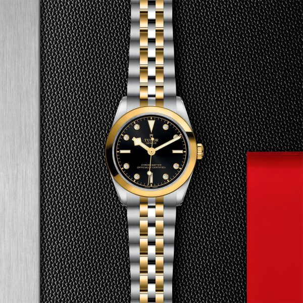 TUDOR Black Bay 31 S&G M79603-0006 - Image 3
