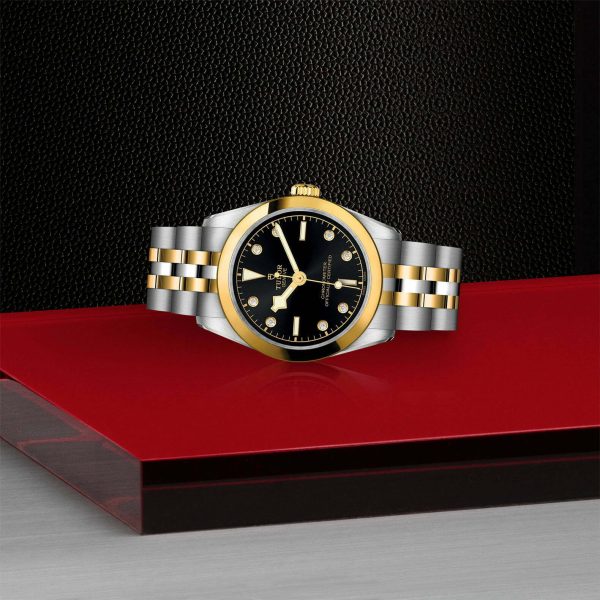 TUDOR Black Bay 31 S&G M79603-0006 - Image 4