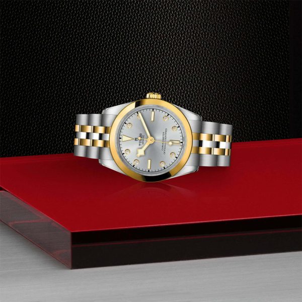 TUDOR Black Bay 31 S&G M79603-0007 - Image 4