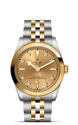 TUDOR Black Bay 31 S&G M79603-0008