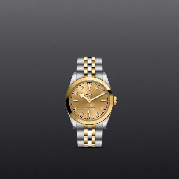TUDOR Black Bay 31 S&G M79603-0008