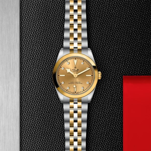 TUDOR Black Bay 31 S&G M79603-0008 - Image 3
