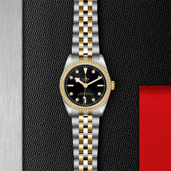 TUDOR Black Bay 31 S&G M79613-0005 - Image 3