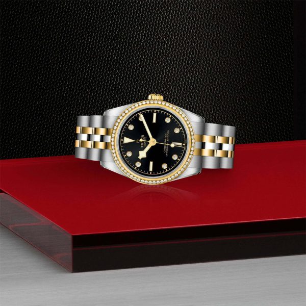 TUDOR Black Bay 31 S&G M79613-0005 - Image 4