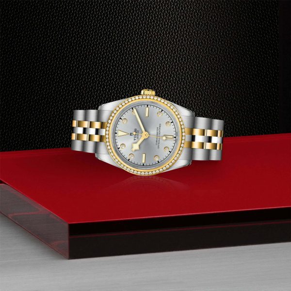 TUDOR Black Bay 31 S&G M79613-0006 - Image 4