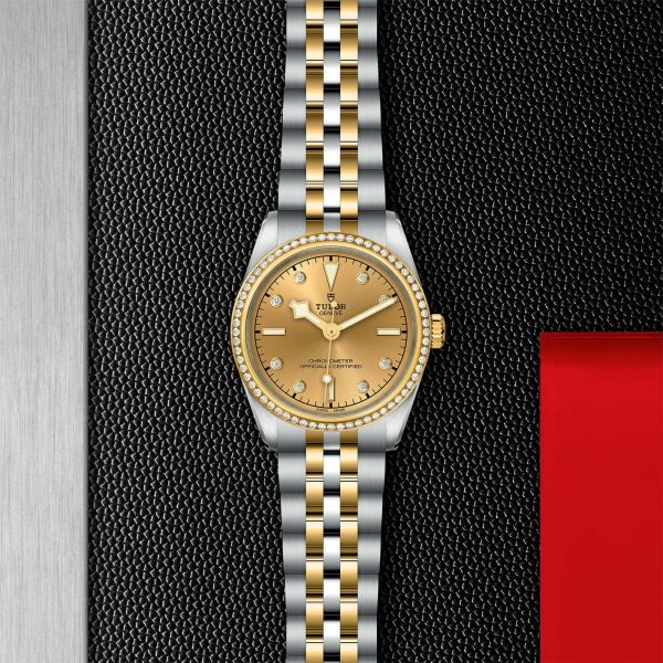 TUDOR Black Bay 31 S&G M79613-0007 - Image 3