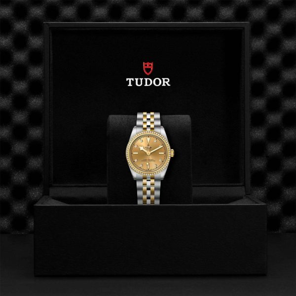 TUDOR Black Bay 31 S&G M79613-0007 - Image 5