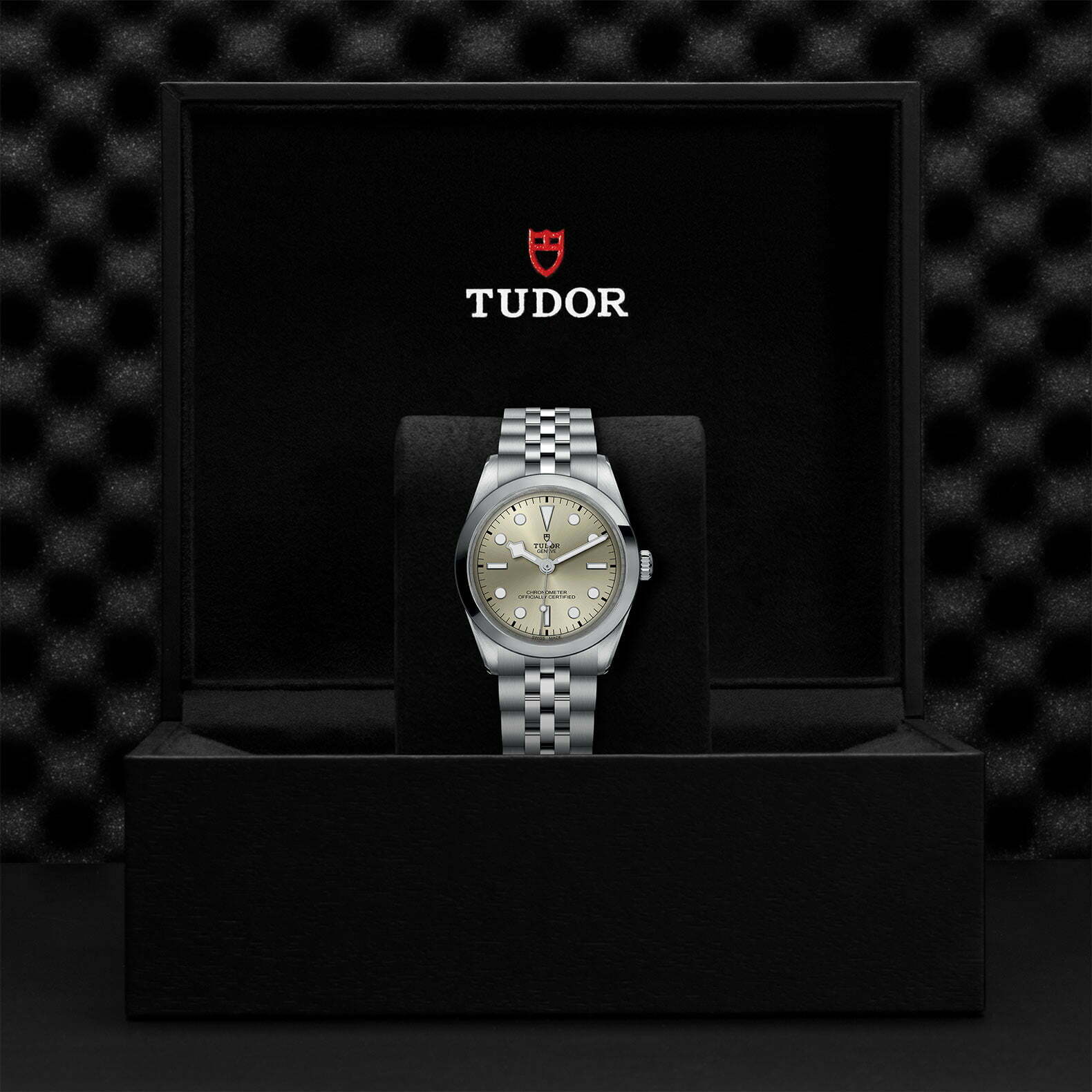 M79640 0003 Tudor Watch Carousel 4 4 10 2023